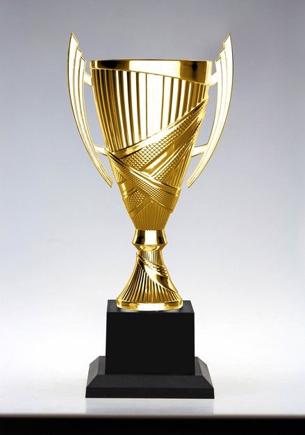 Runner-Up Trophy (10 inch)